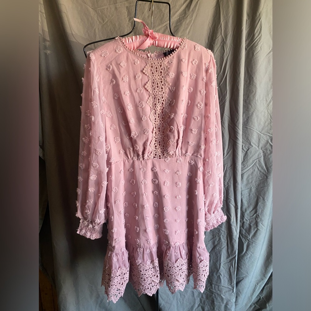 NWT Stunning Dotted Swiss Blush Dress Size Large